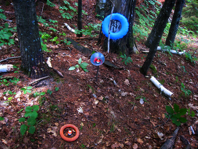 neo-Ojibway ceremonial site